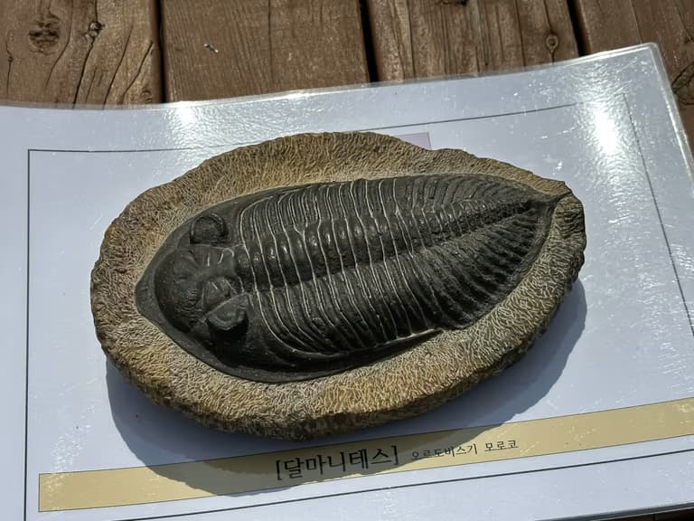 화성 공룡알 화석산지, 화성국가지질공원 탐방 후기-5