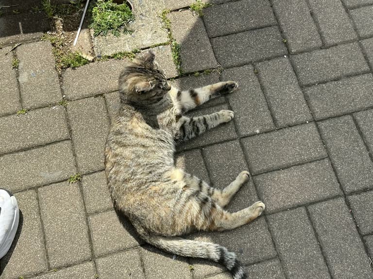 화성 공룡알 화석산지, 화성국가지질공원 탐방 후기-7