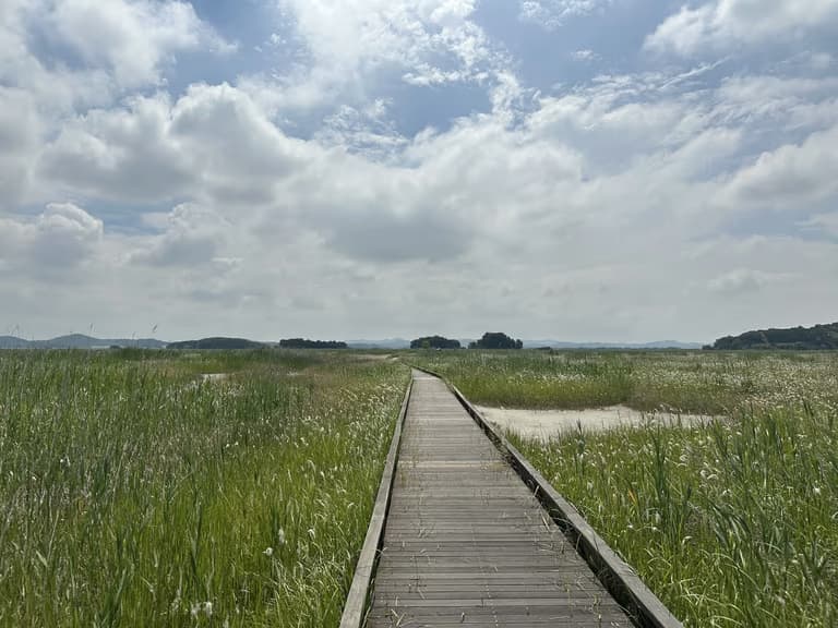 화성 공룡알 화석산지, 화성국가지질공원 탐방 후기-2