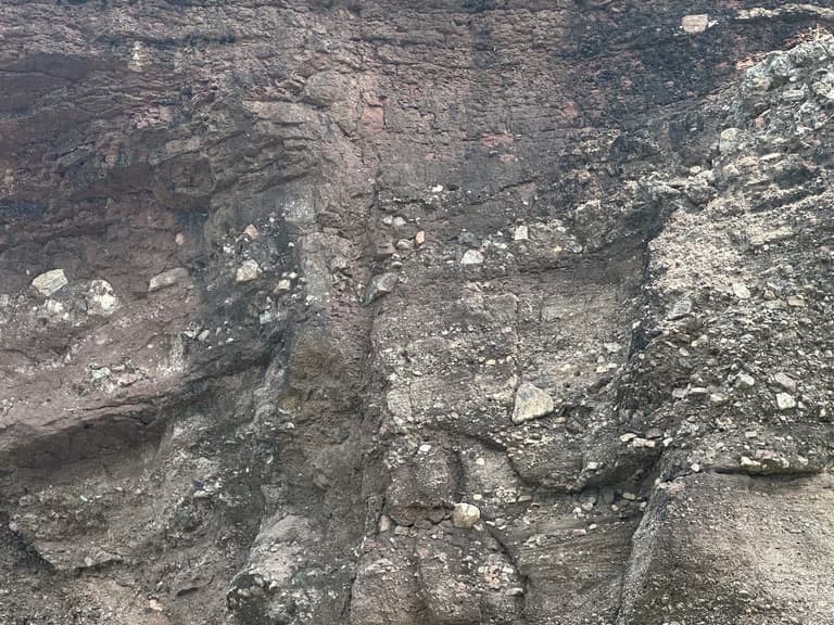 화성 공룡알 화석산지, 화성국가지질공원 탐방 후기-11