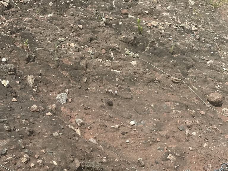 화성 공룡알 화석산지, 화성국가지질공원 탐방 후기-16