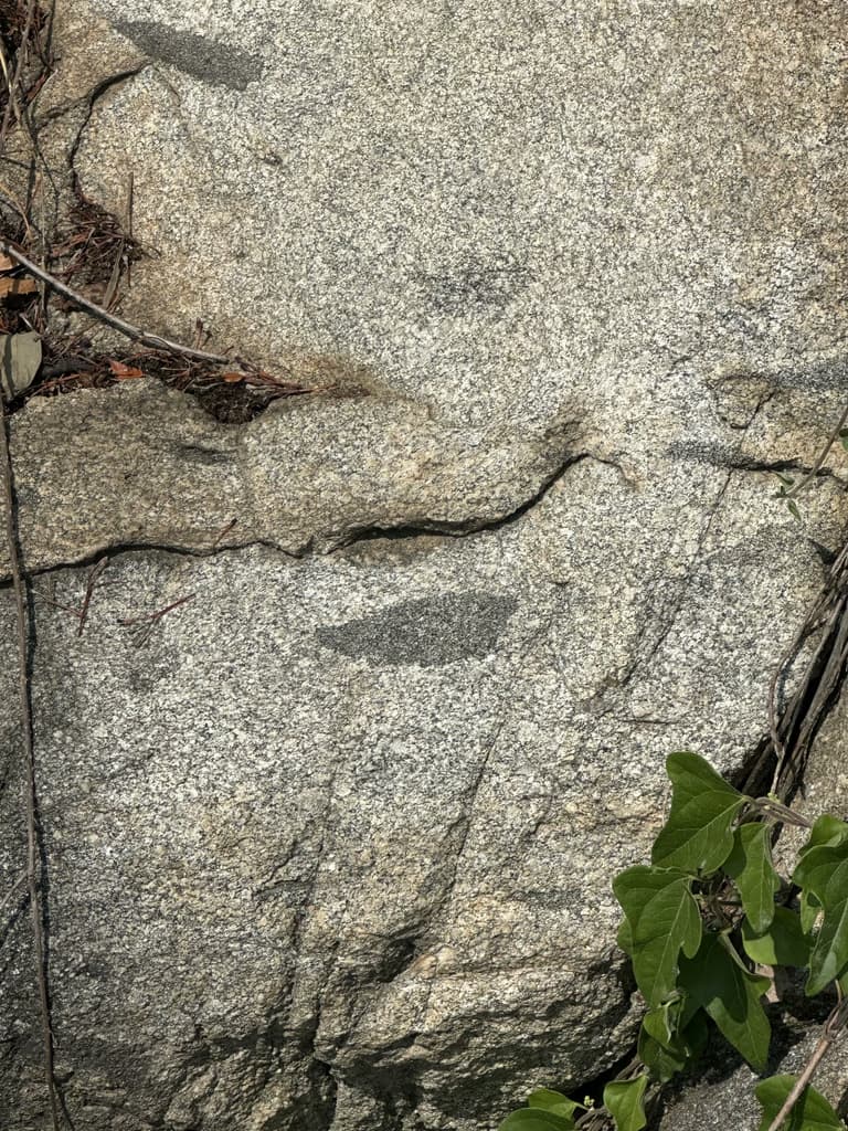 화성 공룡알 화석산지, 화성국가지질공원 탐방 후기-29