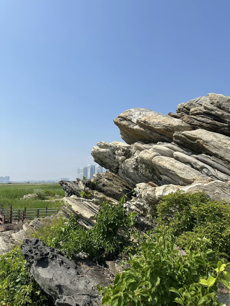 화성 공룡알 화석산지, 화성국가지질공원 탐방 후기-31