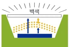 식물용 LED가 당신에게 필요 없는 이유-4