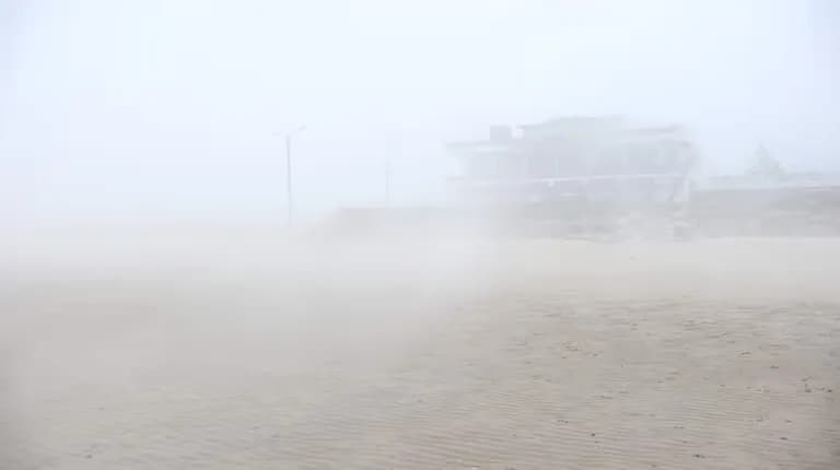 한국의 사막, 그리고 해무 - 신두리 해안사구-1