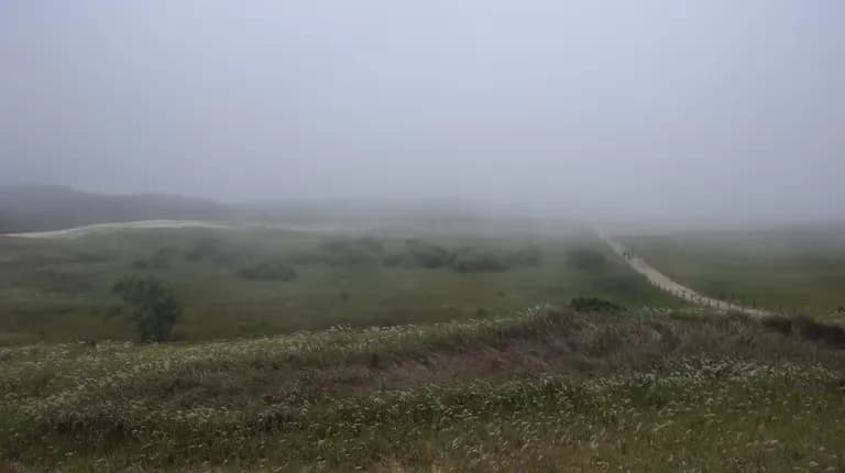 한국의 사막, 그리고 해무 - 신두리 해안사구-9