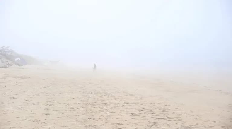 한국의 사막, 그리고 해무 - 신두리 해안사구-3