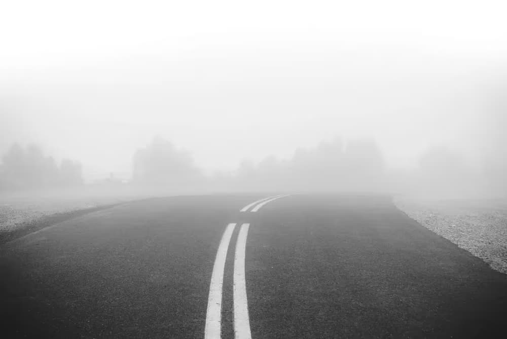 업로드된 이미지