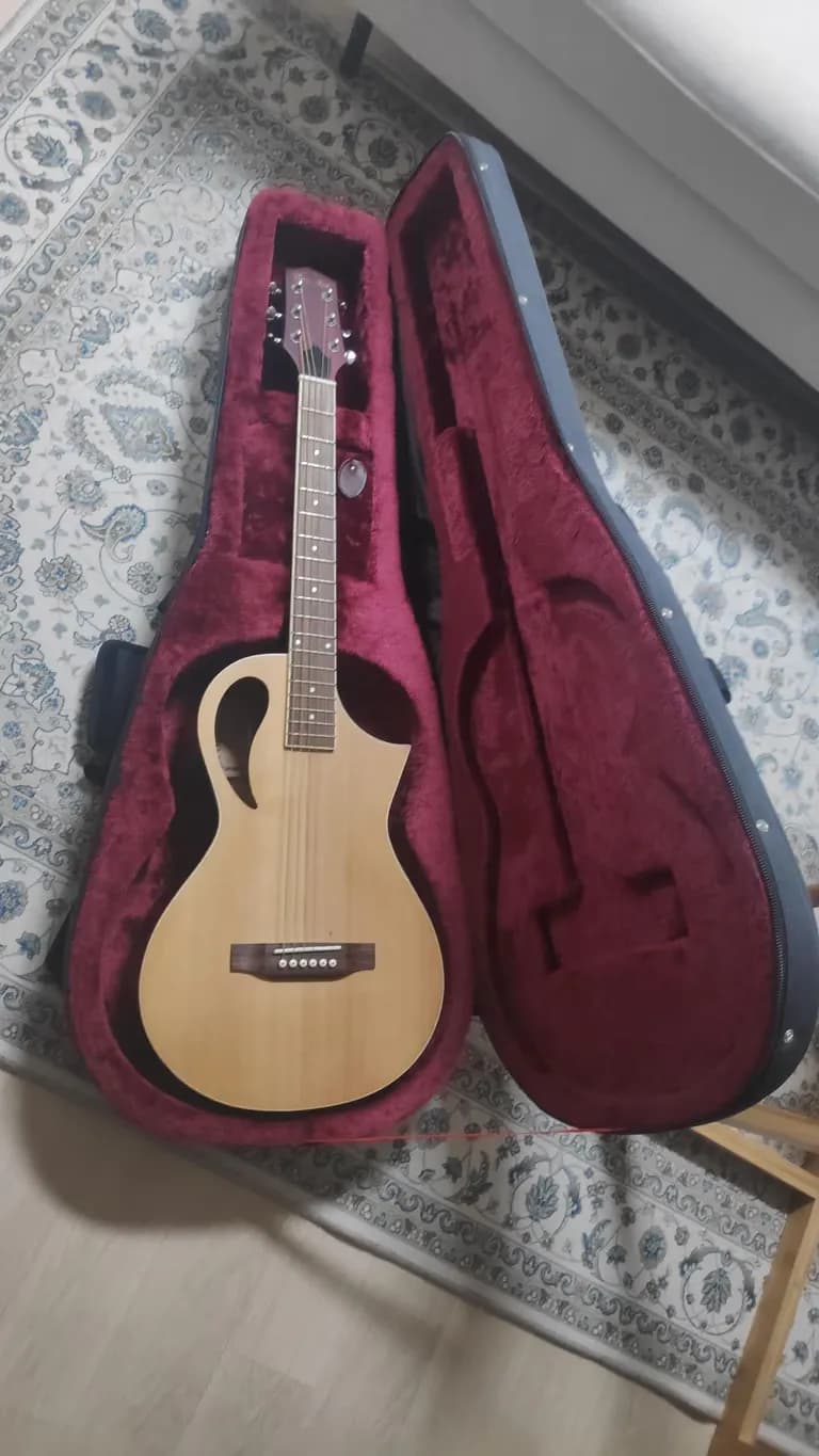 독특한 기타를 찾는 이들을 위한 지침서-2