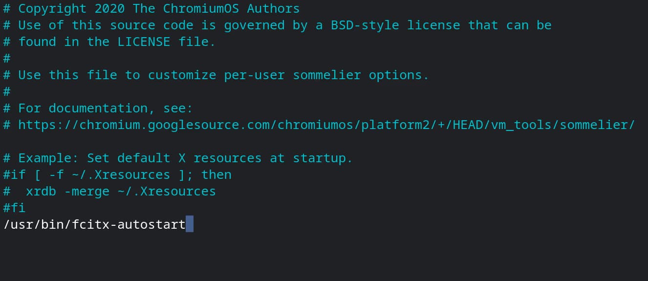 학교 크롬북에 파이썬 개발환경 만들기-31