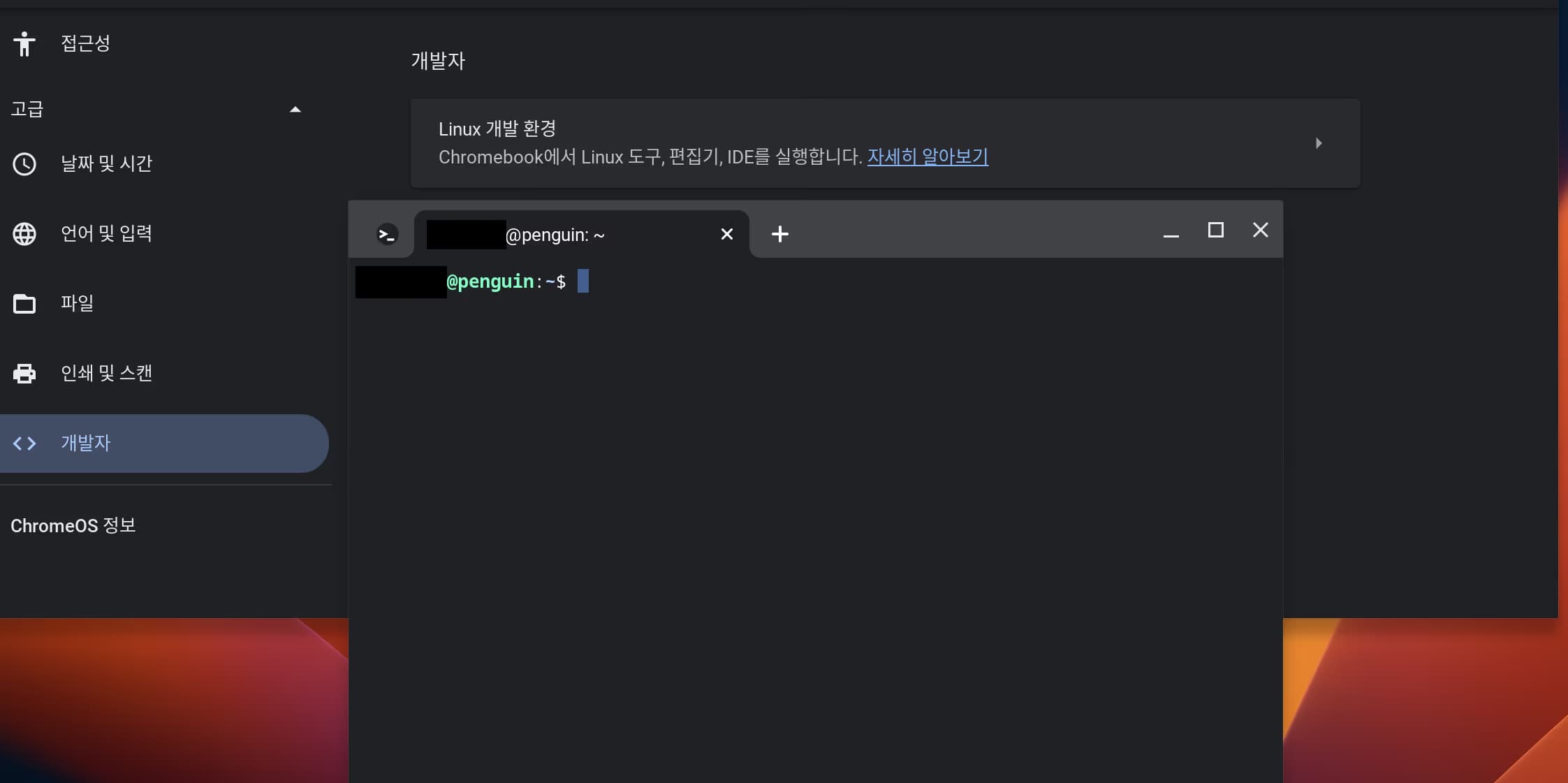 학교 크롬북에 파이썬 개발환경 만들기-8
