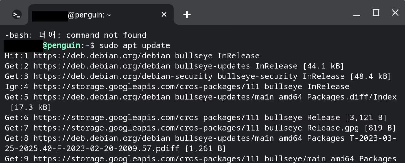 학교 크롬북에 파이썬 개발환경 만들기-9