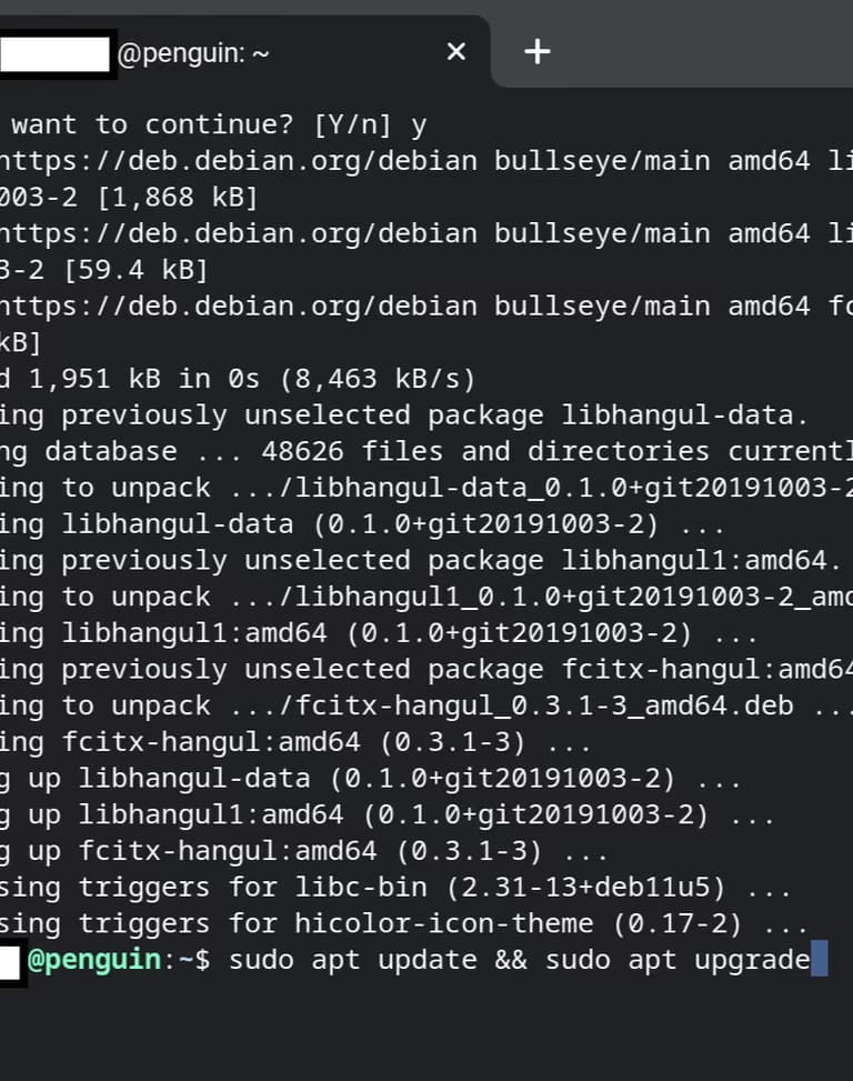 학교 크롬북에 파이썬 개발환경 만들기-27