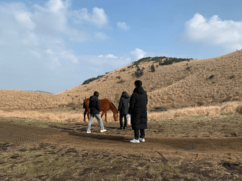 제주도 동쪽 오름 추천