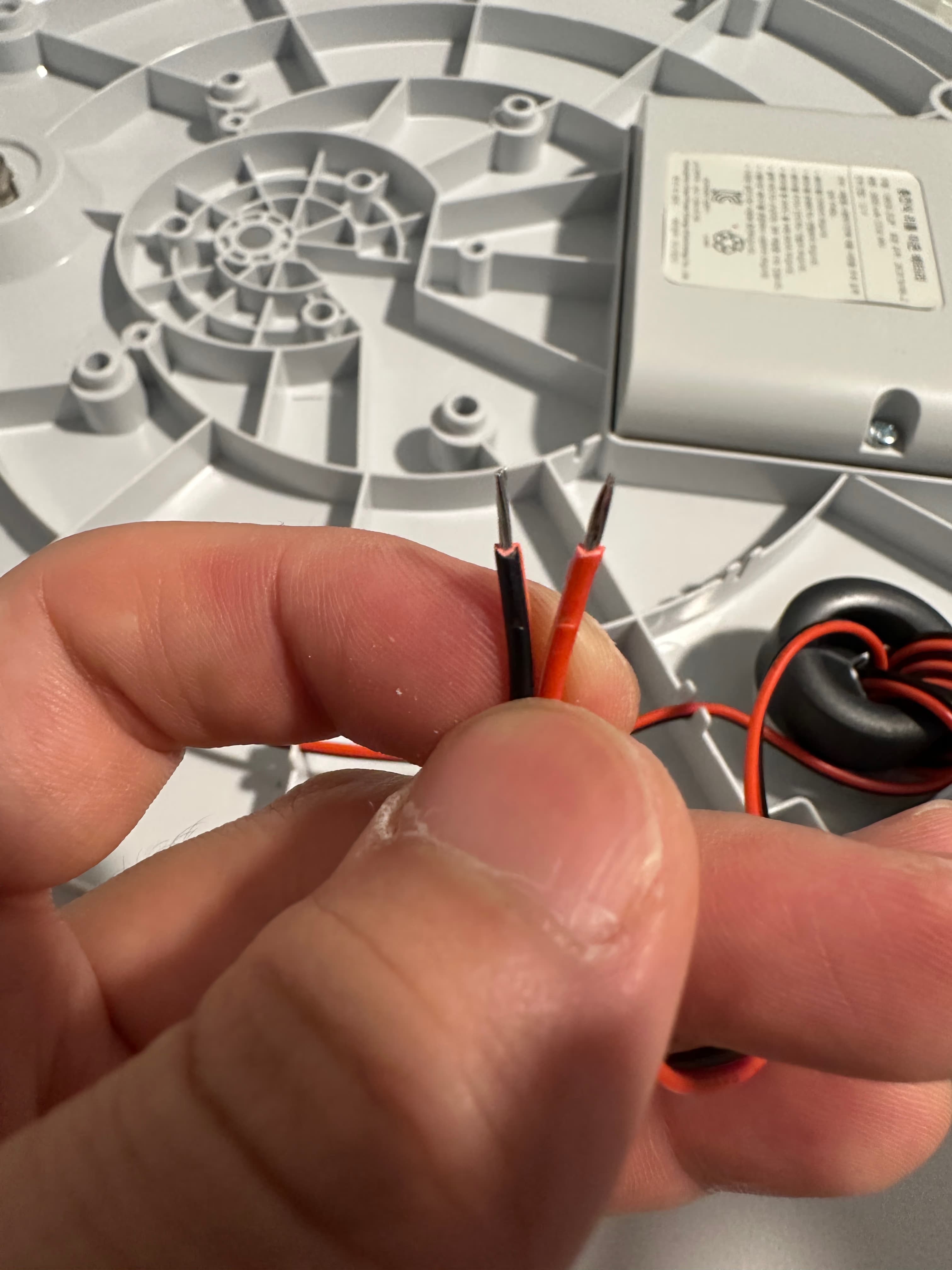 업로드된 이미지