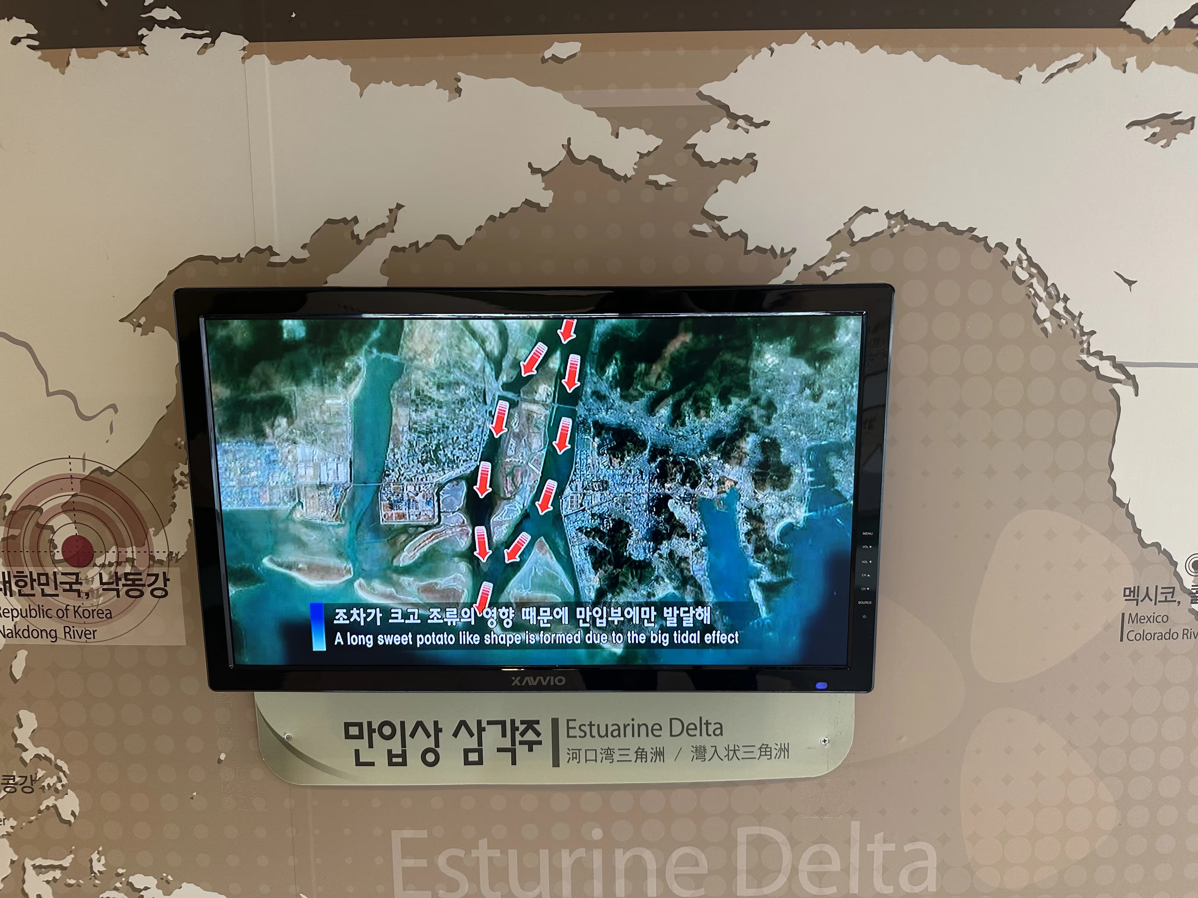 부산 국가 지질공원 아미산 전망대-16