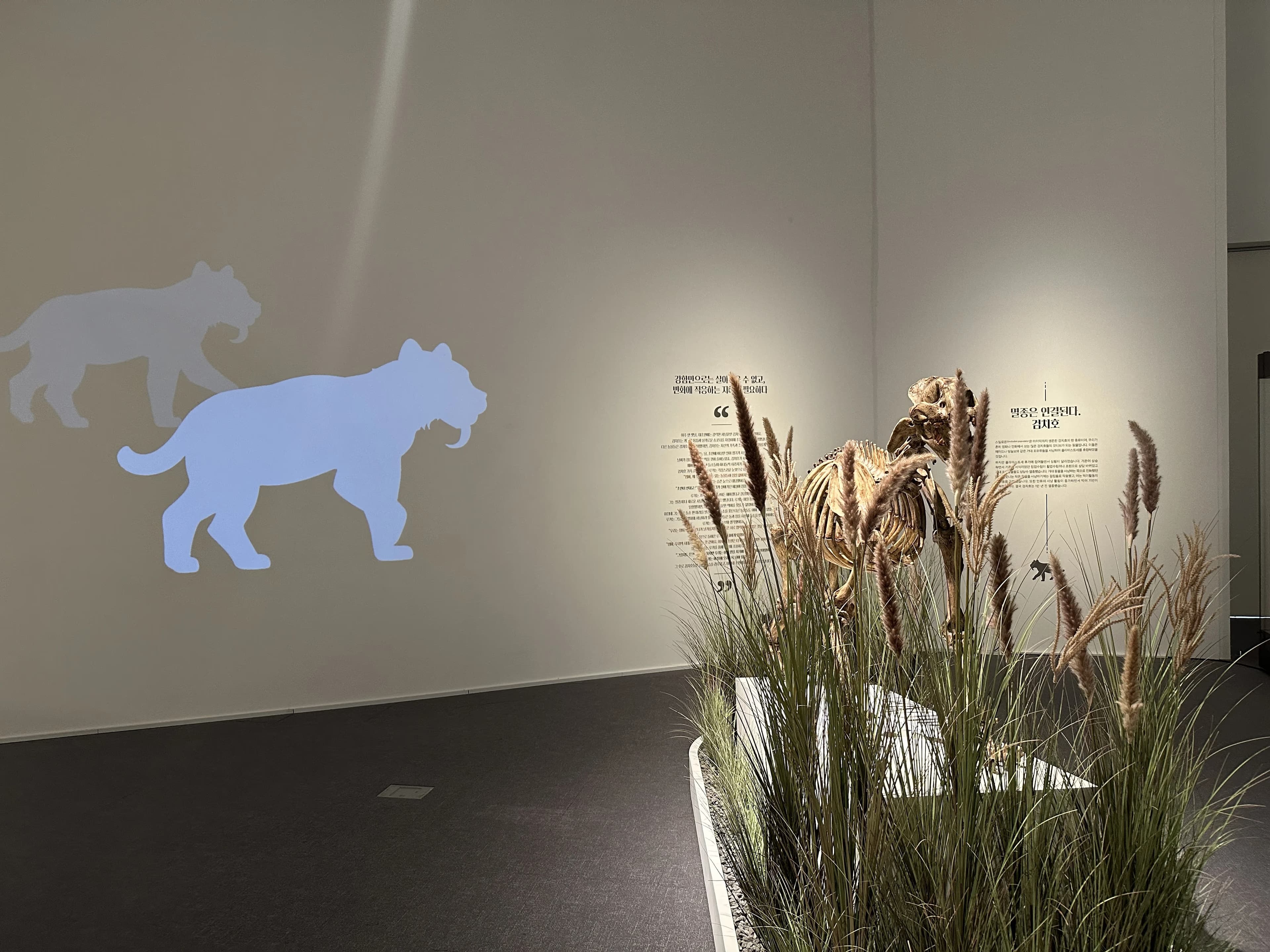 경기도지구과학교육연구회 동계 연천 답사 후기-48