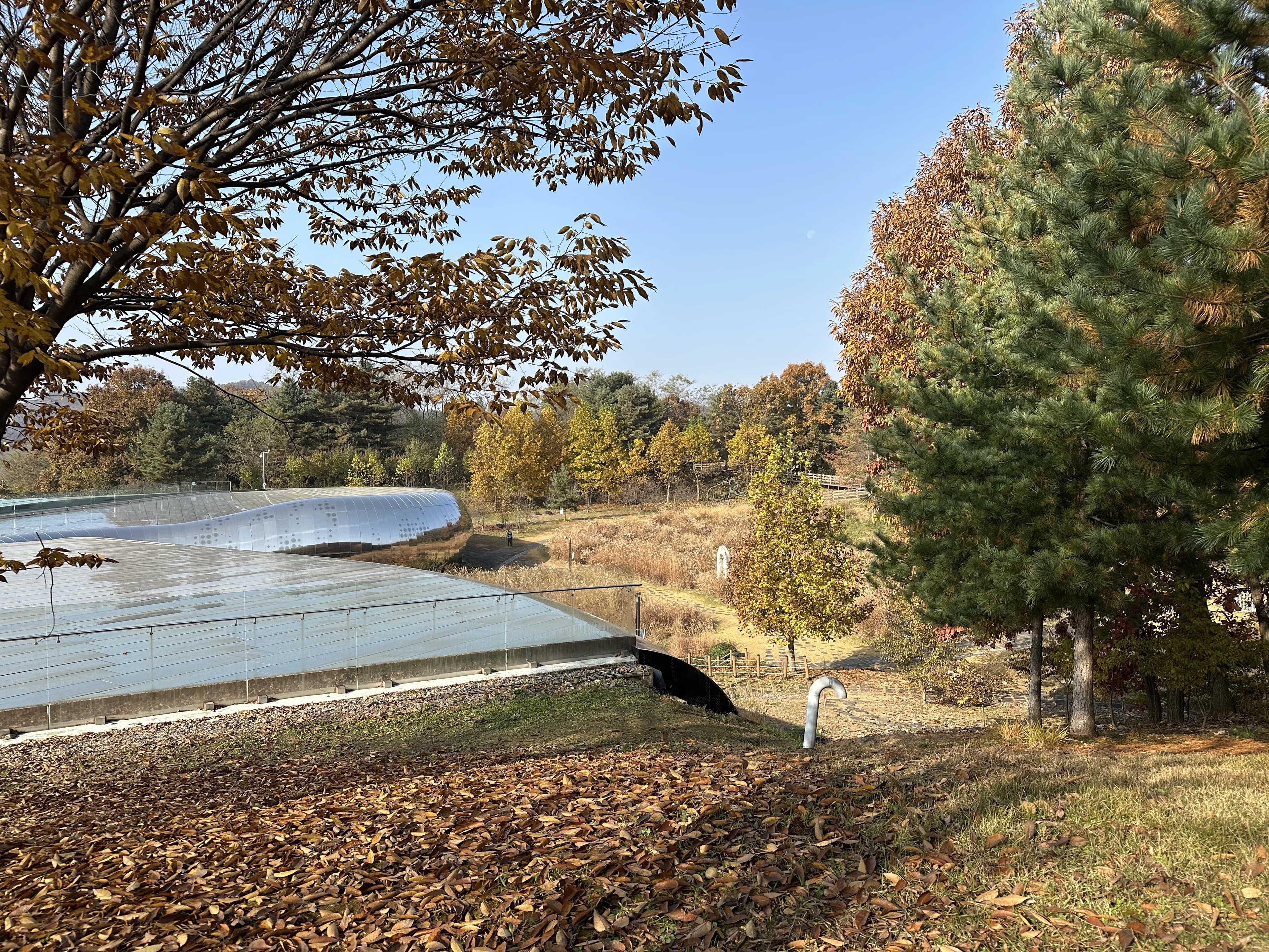 경기도지구과학교육연구회 동계 연천 답사 후기-15