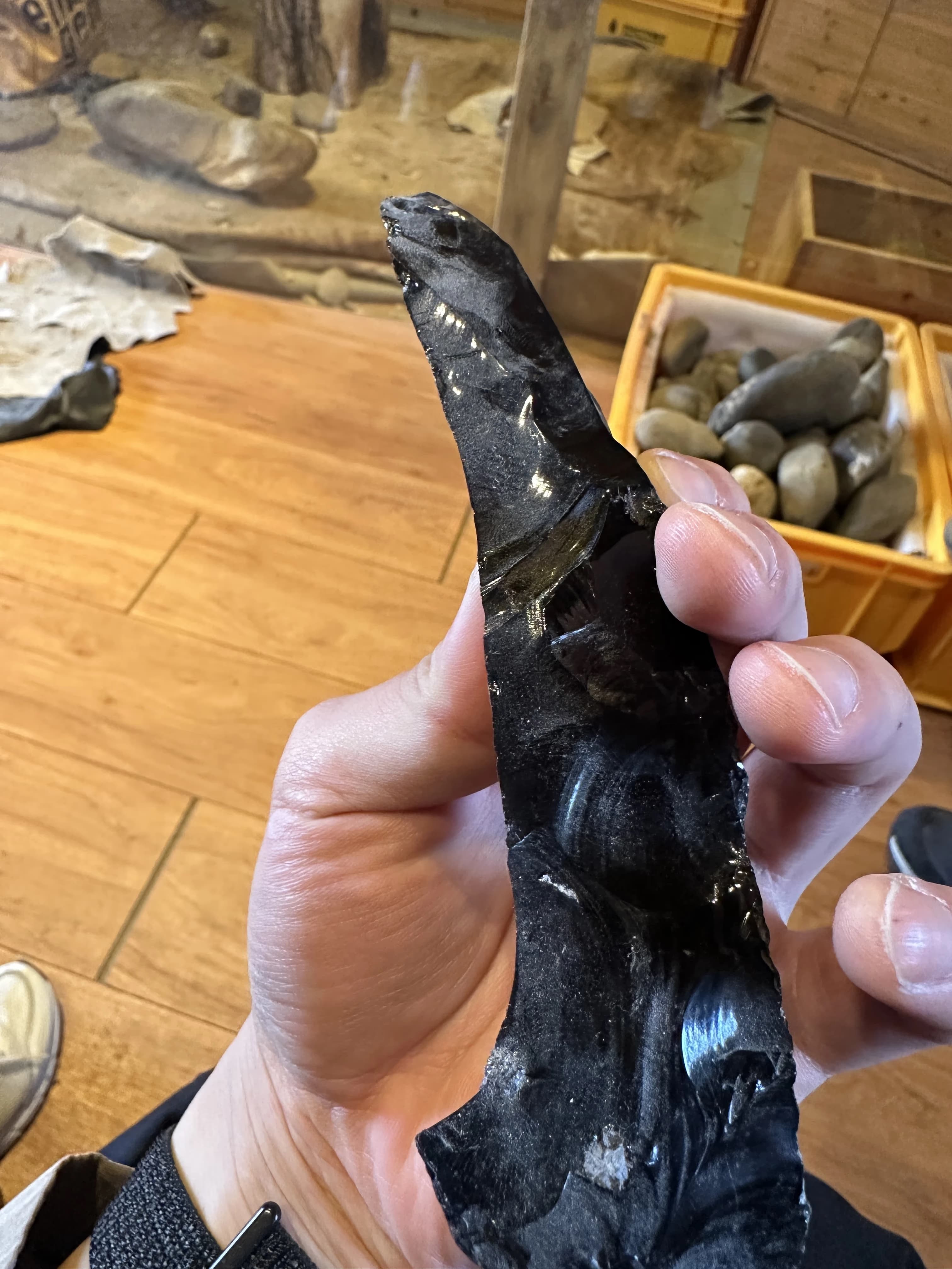 경기도지구과학교육연구회 동계 연천 답사 후기-30