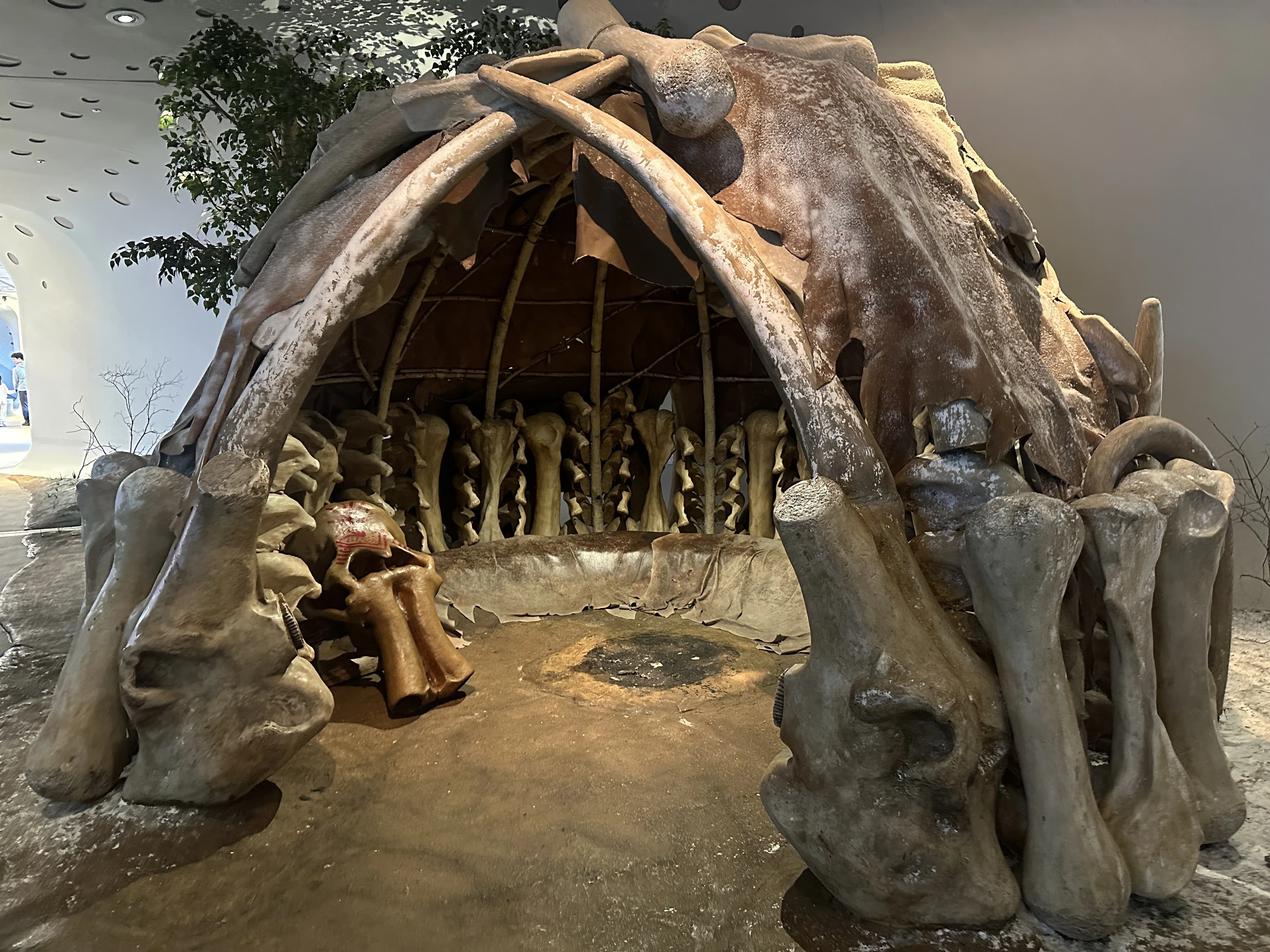 경기도지구과학교육연구회 동계 연천 답사 후기-42