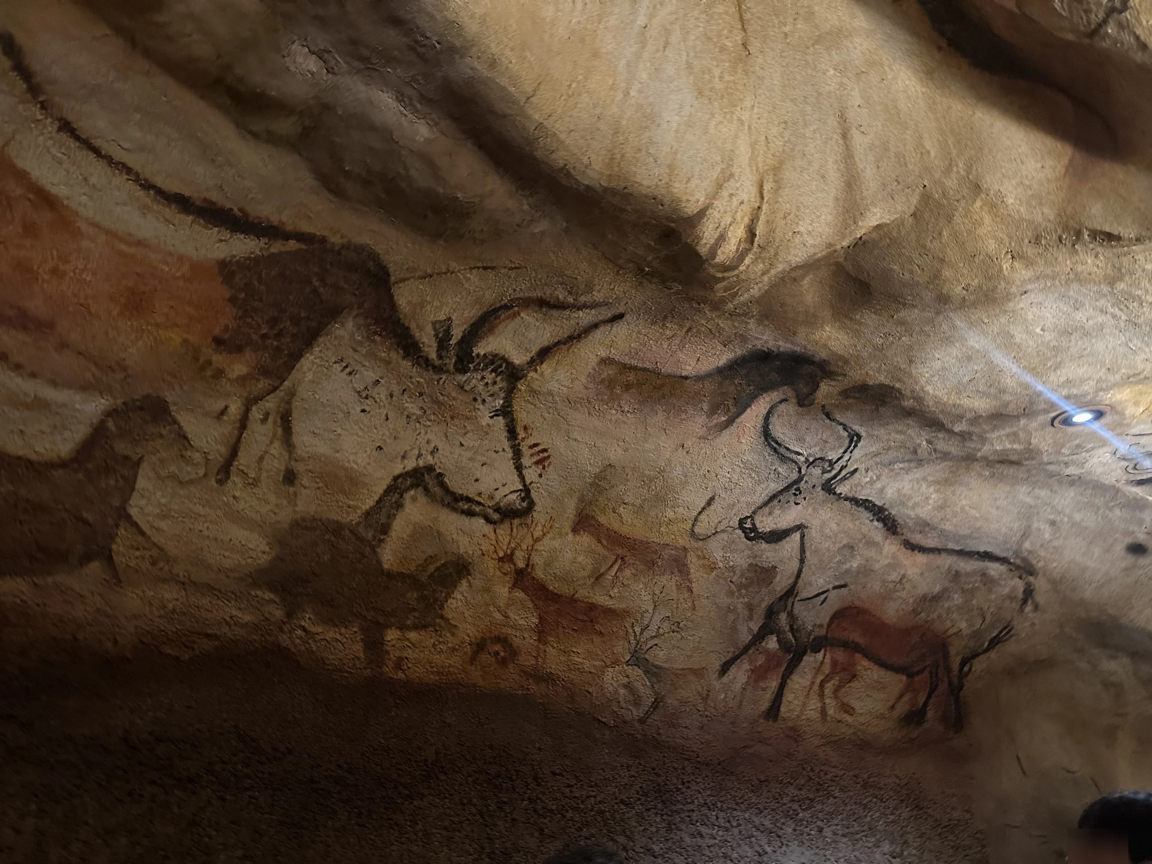 경기도지구과학교육연구회 동계 연천 답사 후기-44