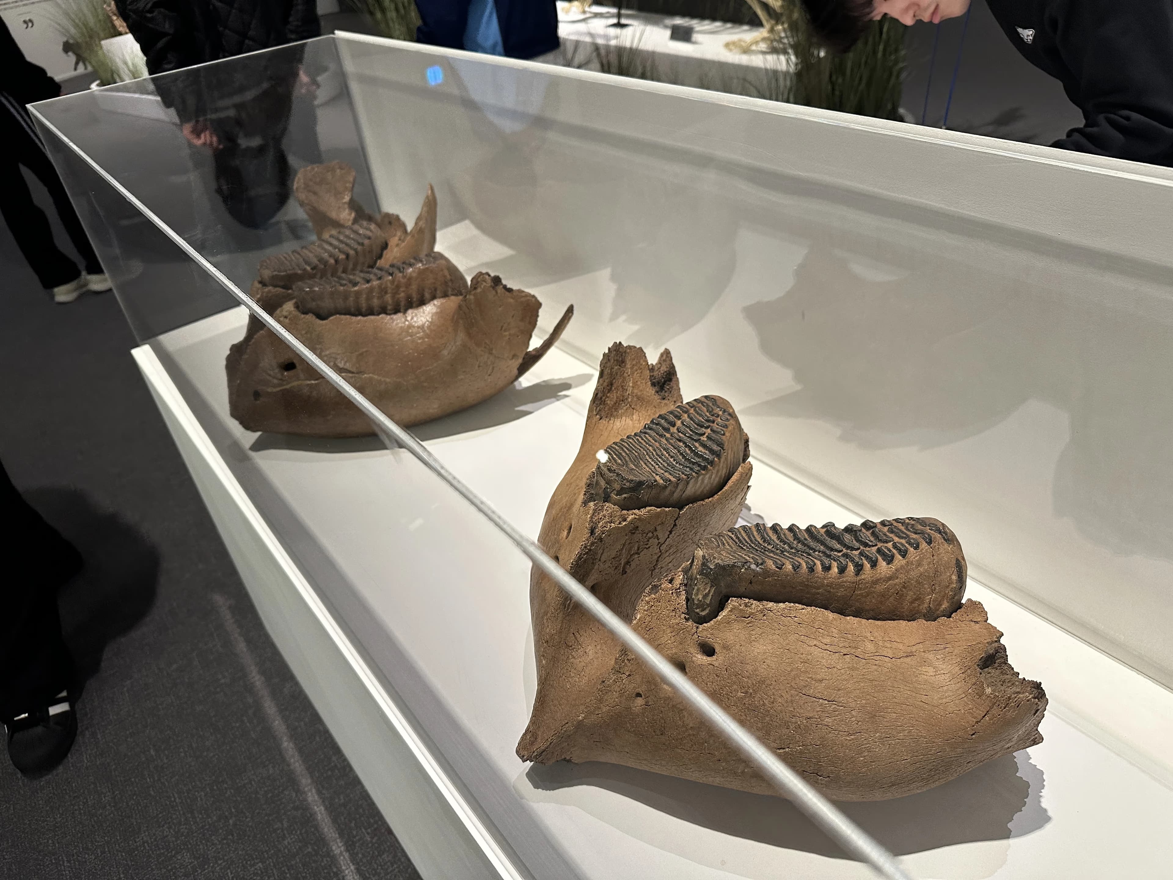 경기도지구과학교육연구회 동계 연천 답사 후기-47