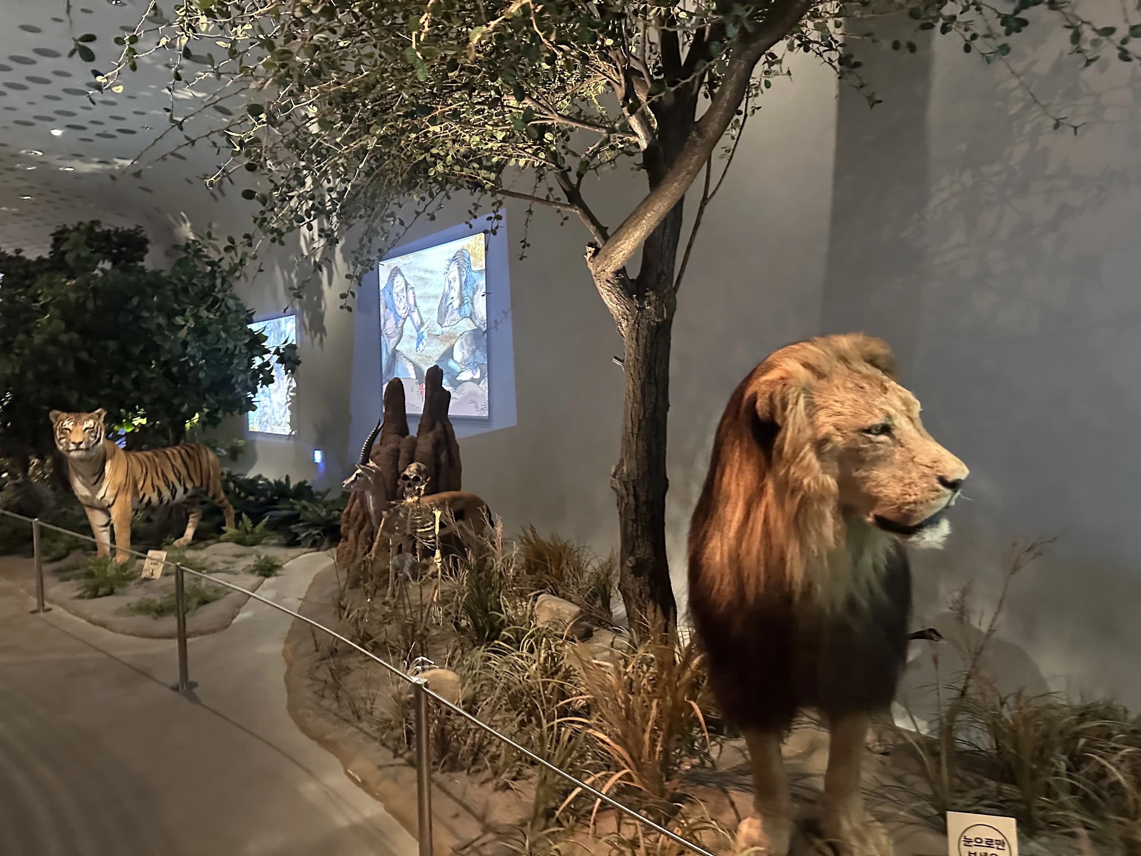 경기도지구과학교육연구회 동계 연천 답사 후기-39