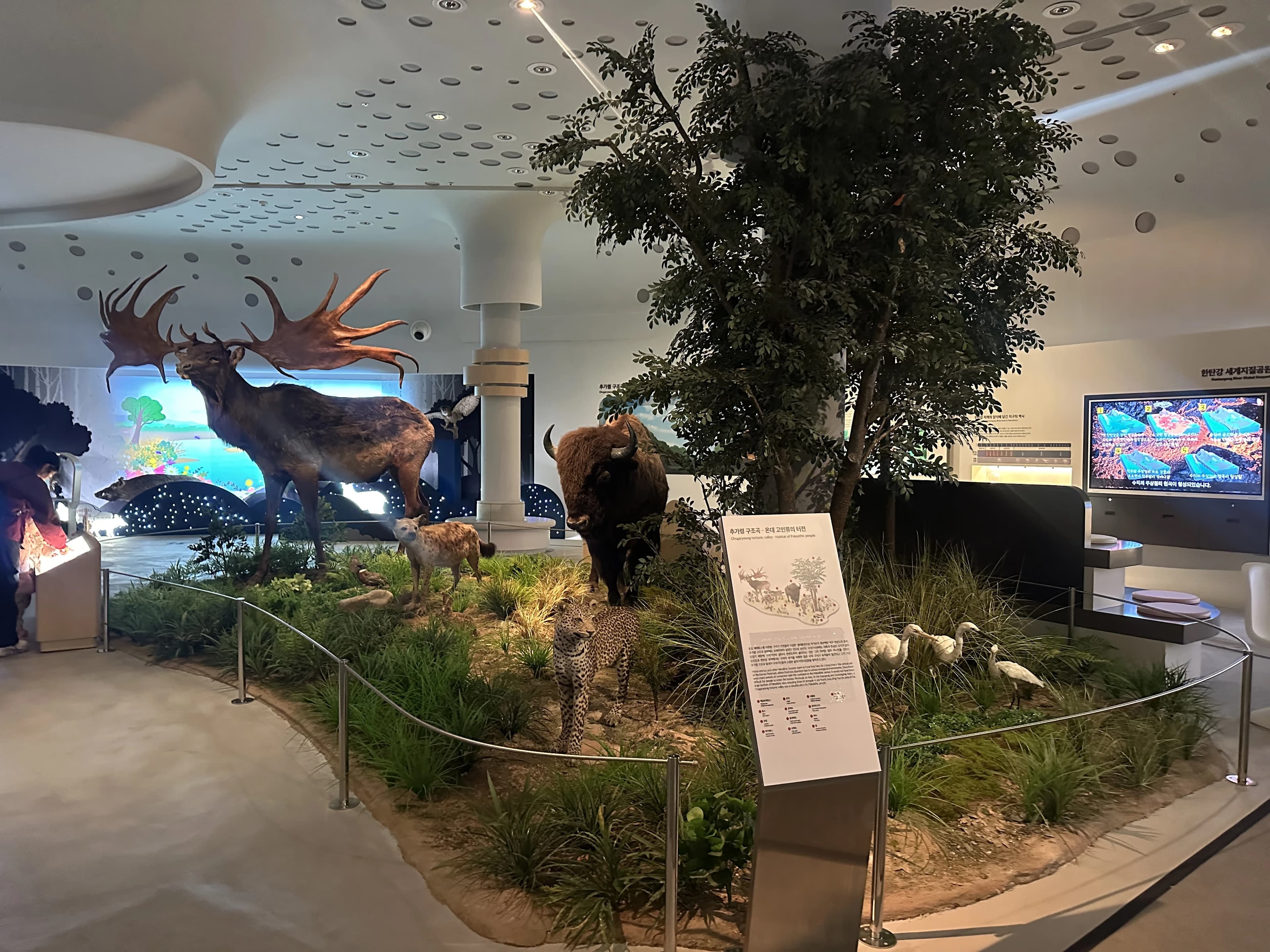 경기도지구과학교육연구회 동계 연천 답사 후기-41