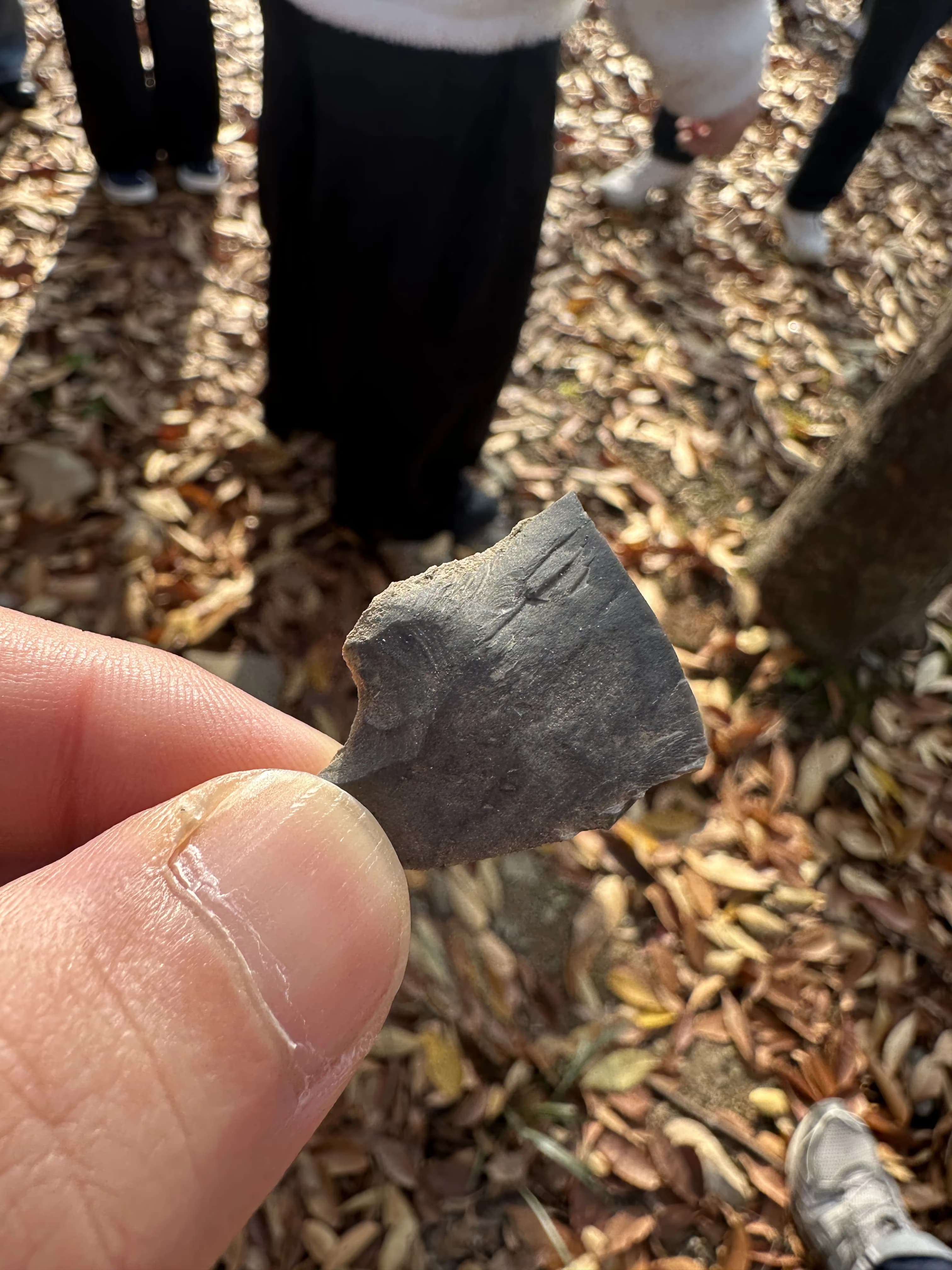 경기도지구과학교육연구회 동계 연천 답사 후기-16