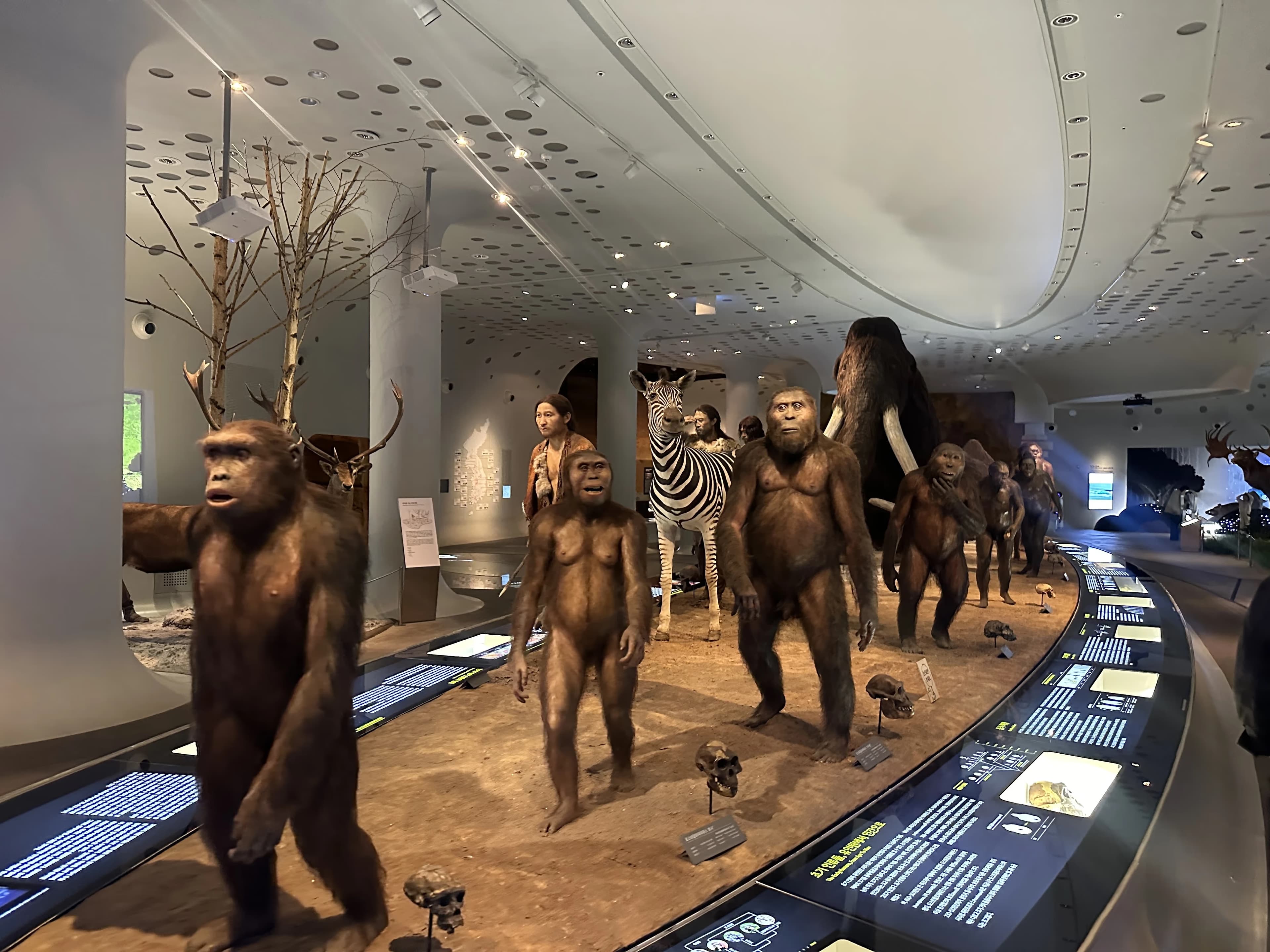 경기도지구과학교육연구회 동계 연천 답사 후기-40