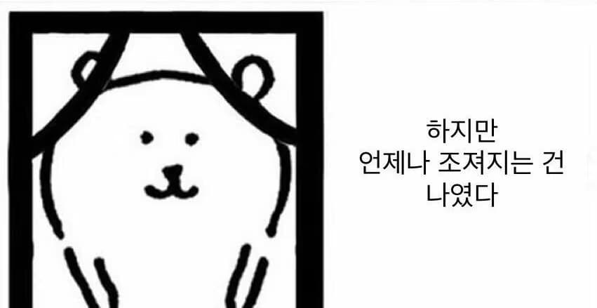 밑바닥부터 만들면서 배우는 LLM 7장 독서 후기 및 챌린지 후기