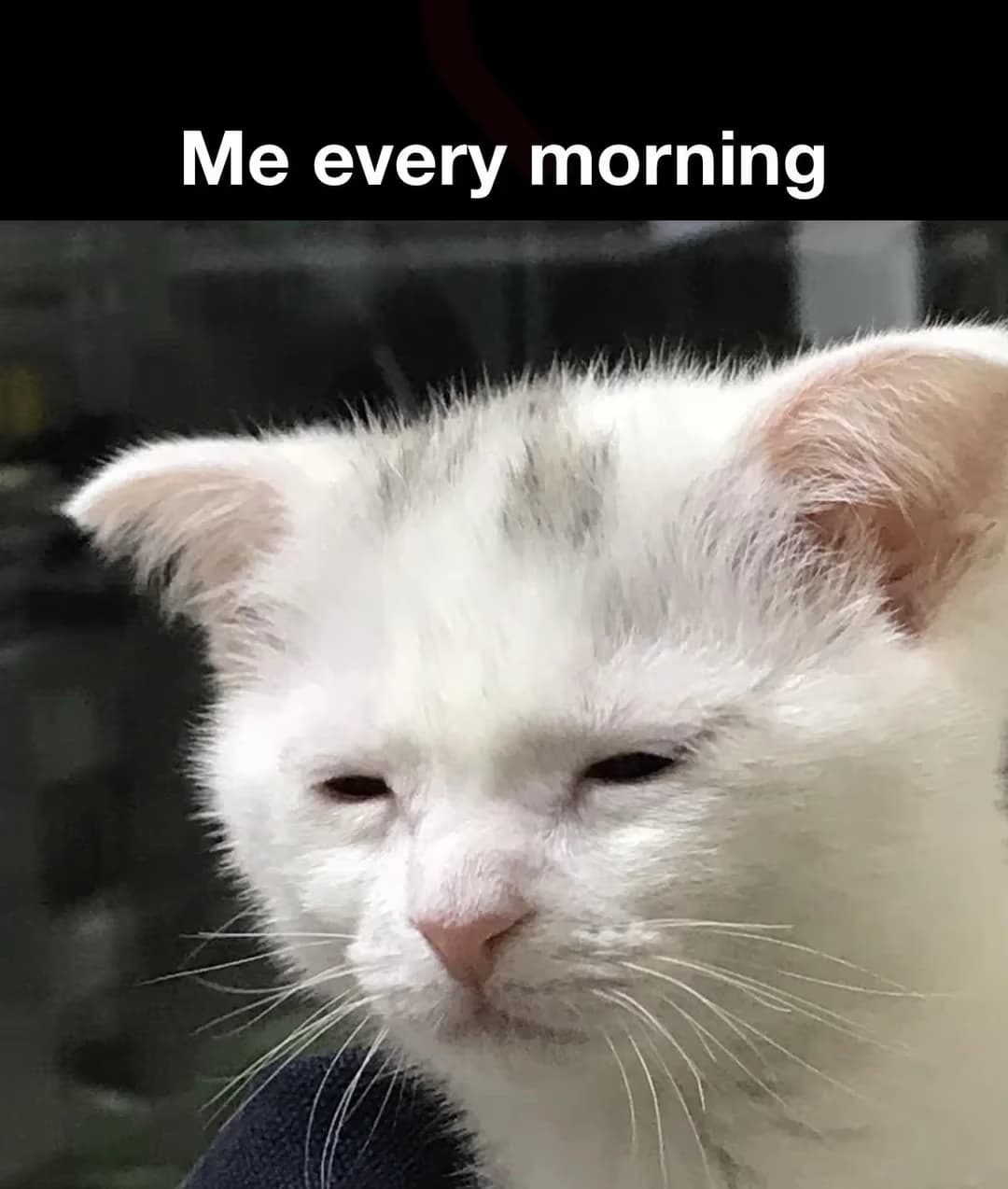 교사를 위한 교육연구 및 통계분석 연수 - 10~12차시 결정계수, 중다회귀분석 등