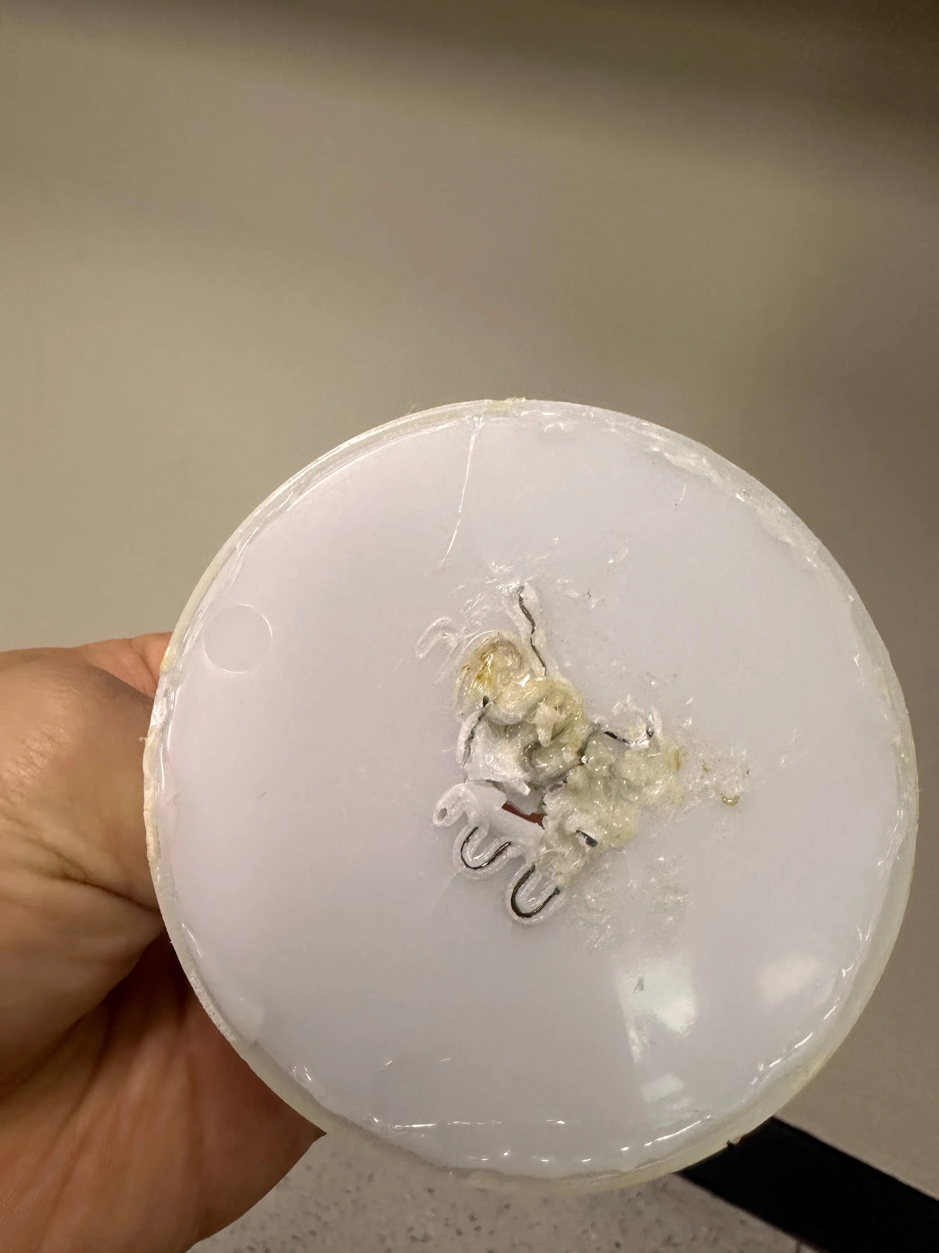 Fixing the Broken LEXON MINA – Final Chapter-4