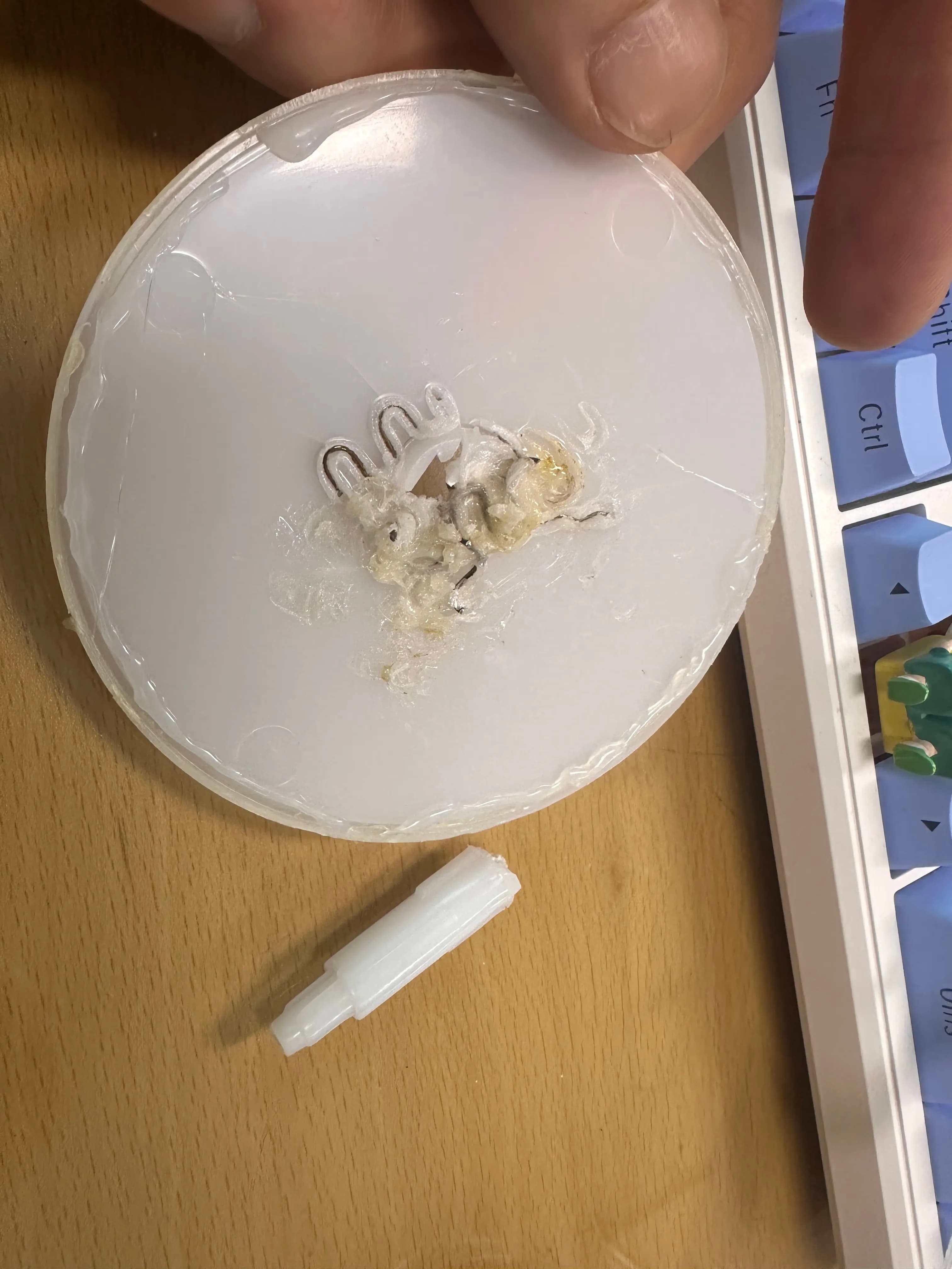 Fixing the Broken LEXON MINA – Final Chapter-5