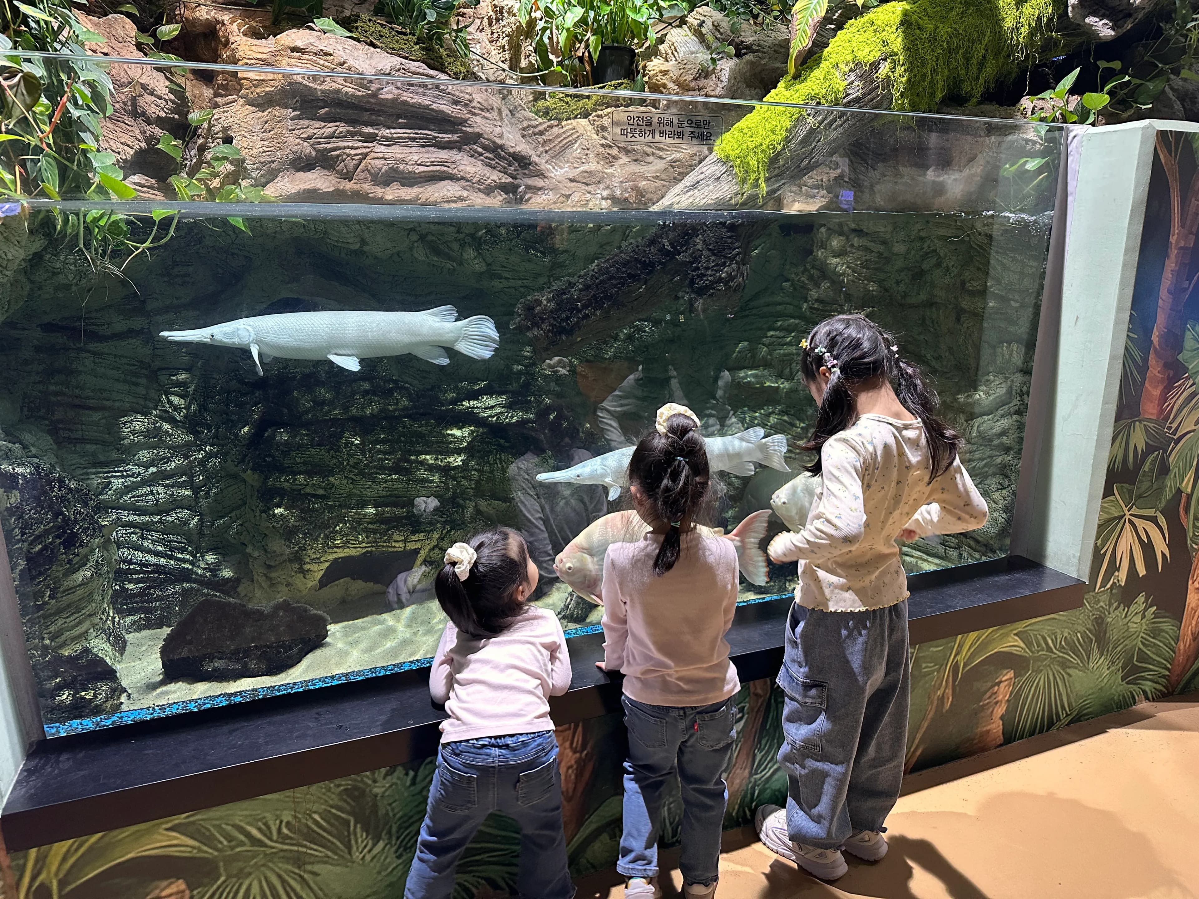 만 4세 아기용 기타 추천 - HEX BB100S vs HEX HIVE P100 M-1