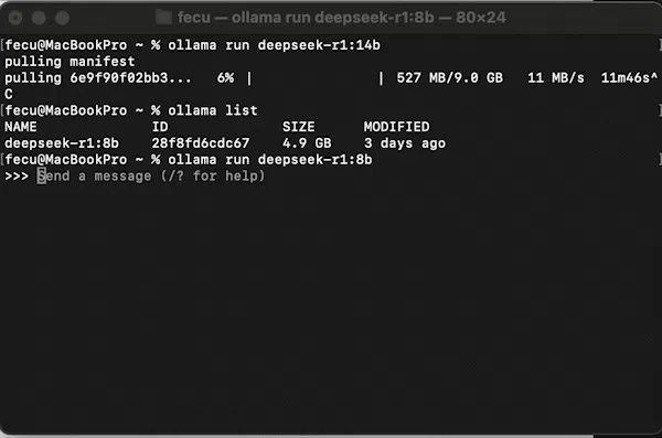 Deepseek R1 설치 및 웹 서비스 구현하기-4